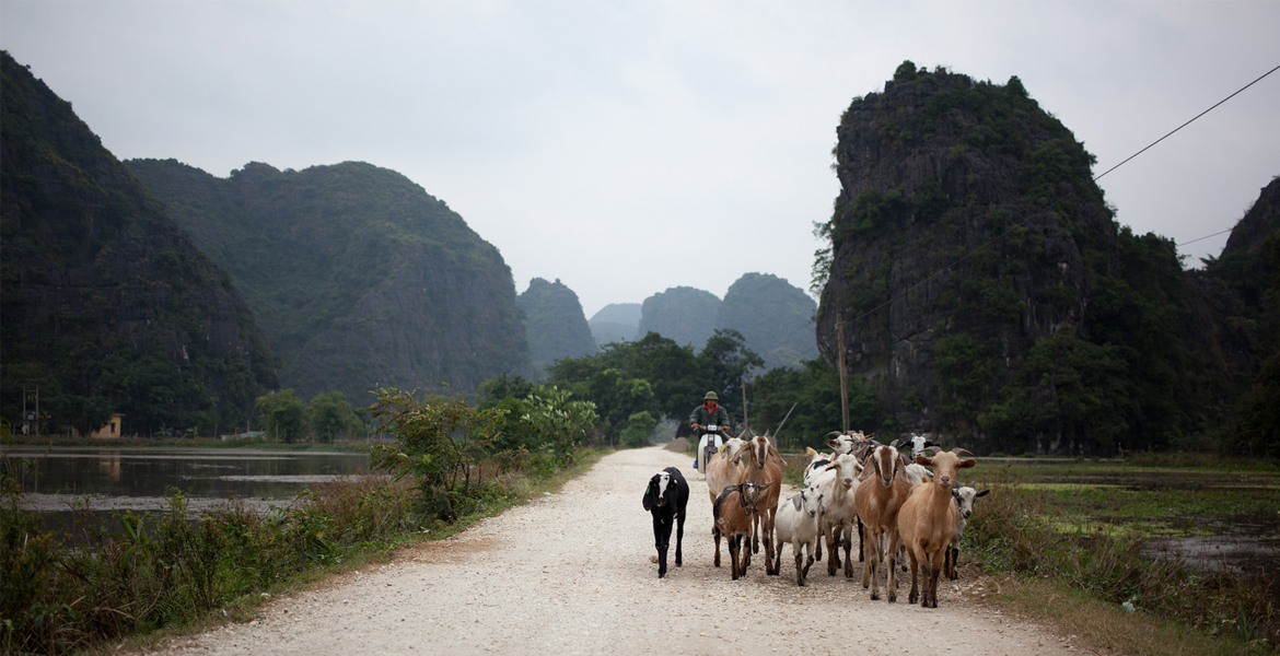 Hoa Lu Tam Coc Day Trip